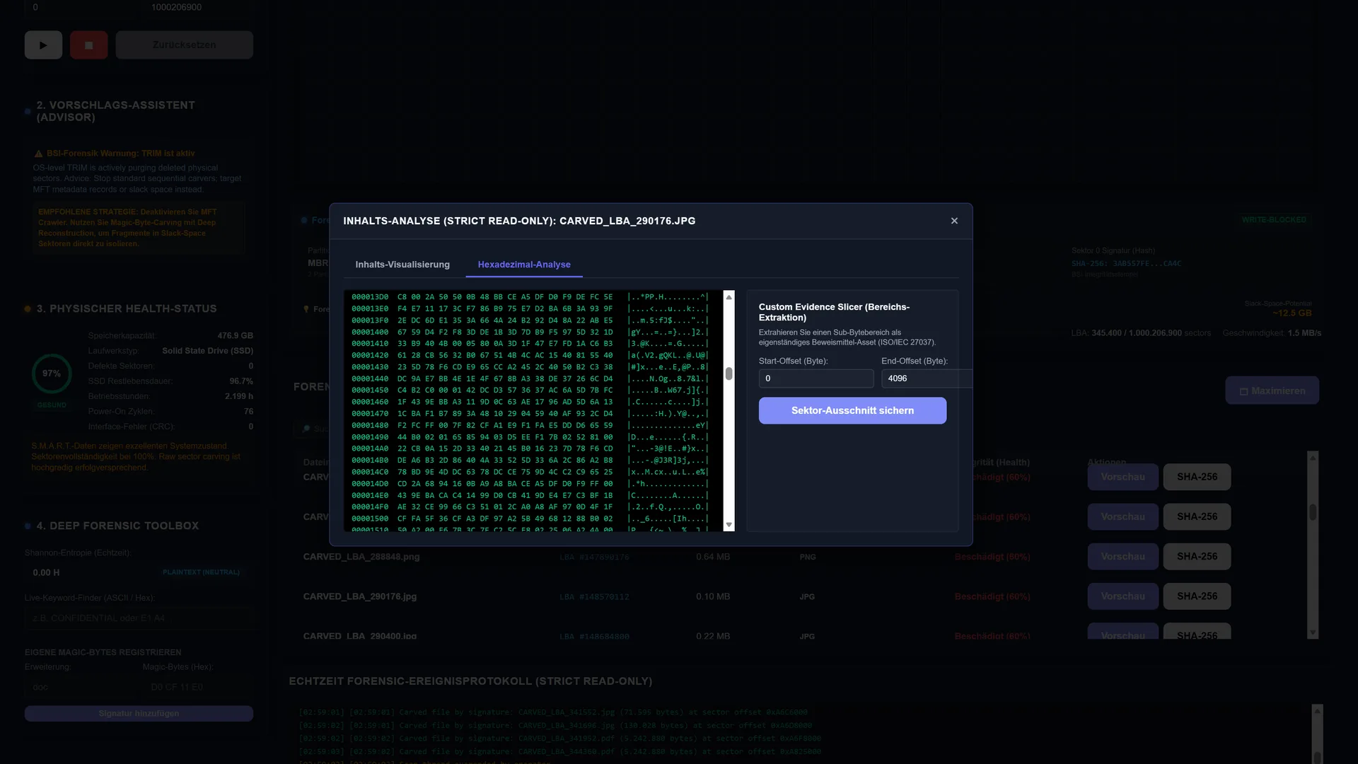 Hexadezimal-Analyse mit Custom Evidence Slicer zur Bereichs-Extraktion